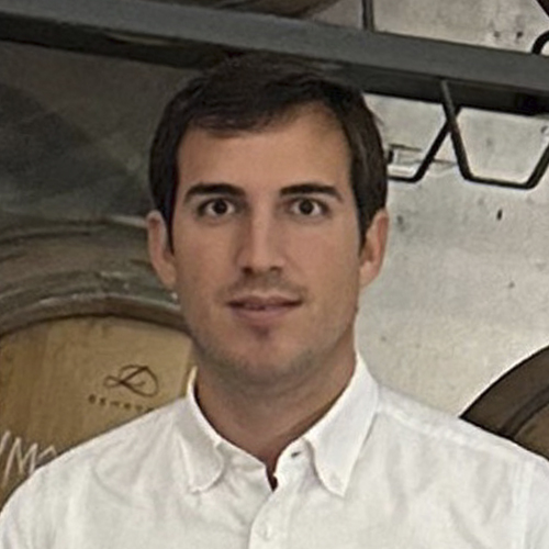 Víctor Fernández de Manzanos