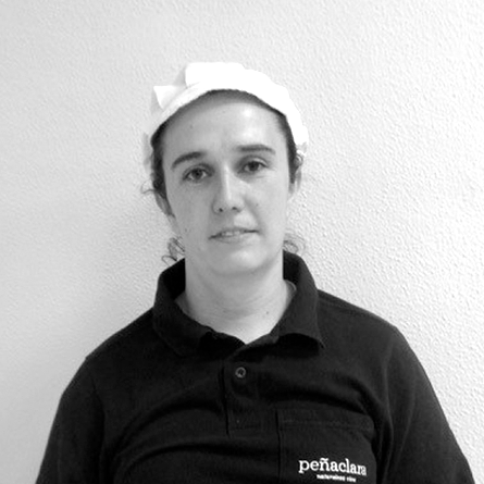 Luisa Ramírez de Arellano